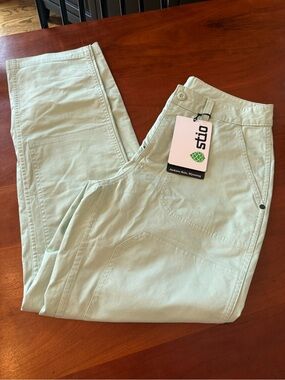 Stio Mint Green Hiking/Utility Pants